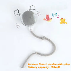 Bola Interativa Inteligente New Dog