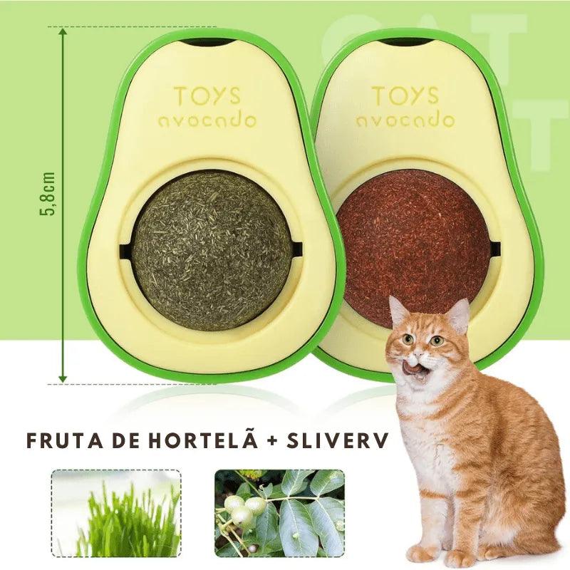 Abacate Erva para GATOS Com Catnip Natural