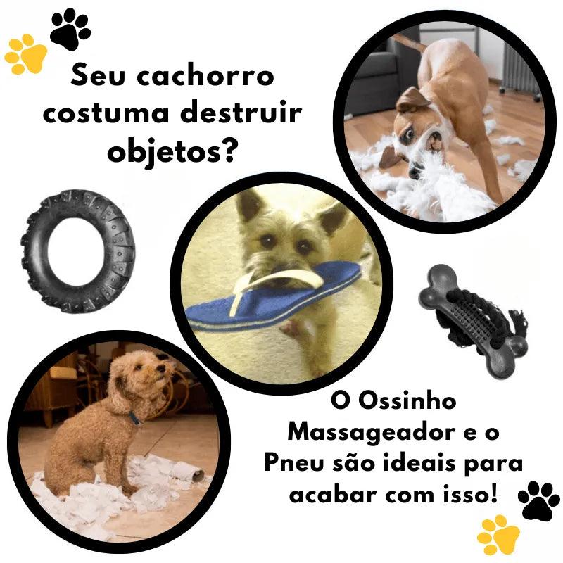 Kit 4 Mordedores Brinquedo Maciço Para Pet Cachorros Grande