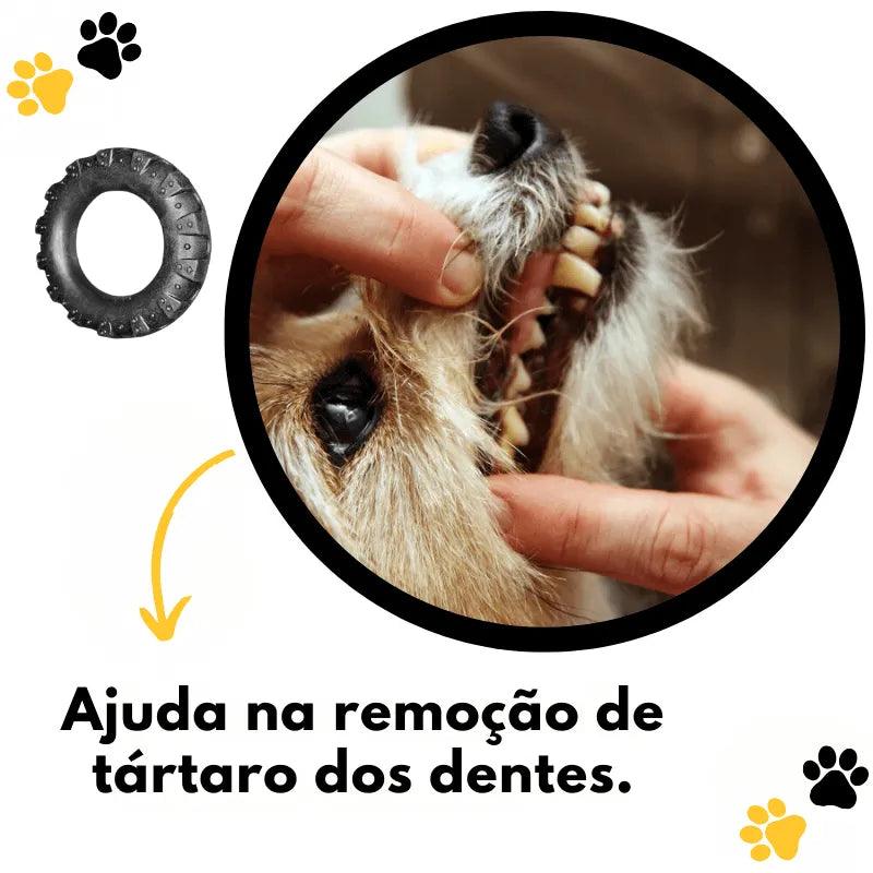 Kit 2 mordedores para cães