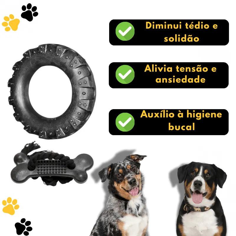 Kit 2 mordedores para cães