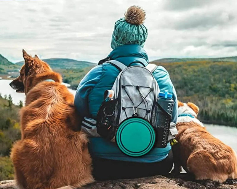 Bebedouro e comedouro de silicone retrátil para cães e gatos