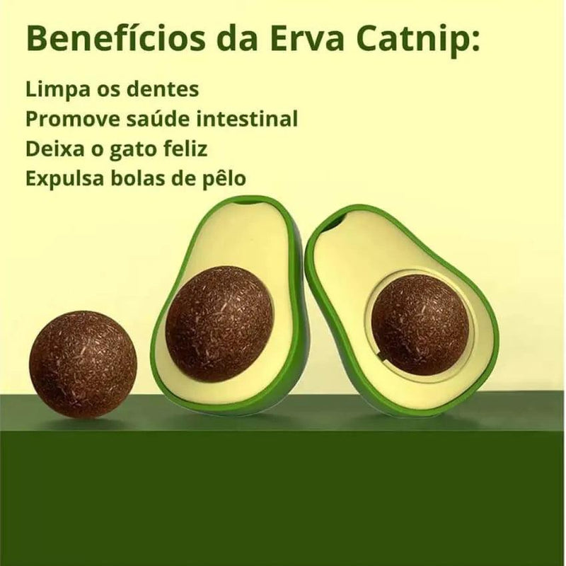 Abacate Erva para GATOS Com Catnip Natural