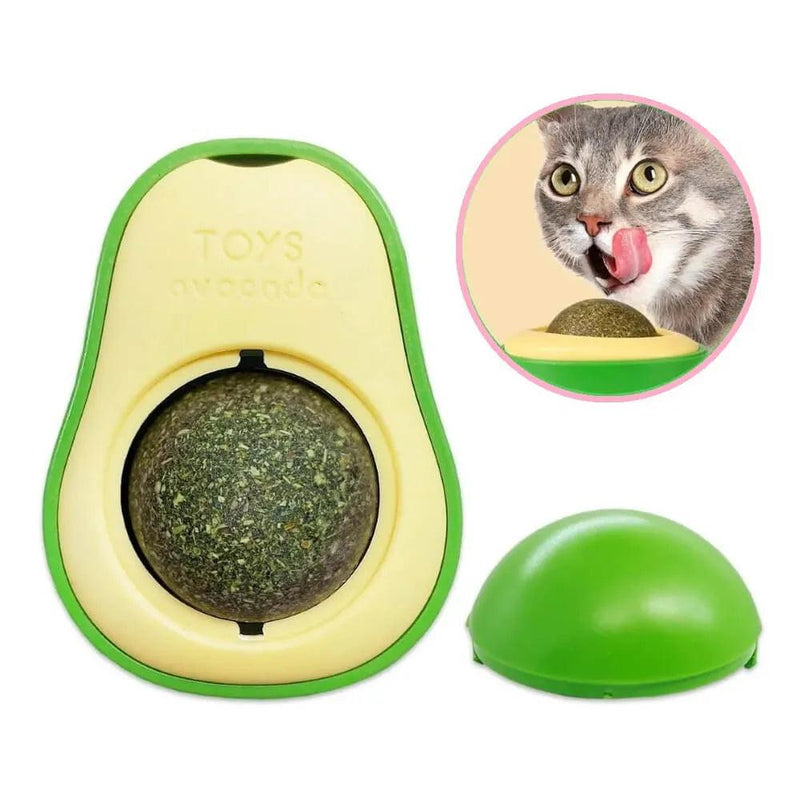 Abacate Erva para GATOS Com Catnip Natural