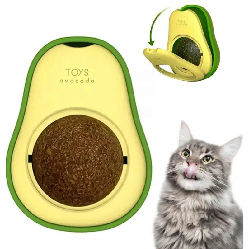 Abacate Erva para GATOS Com Catnip Natural