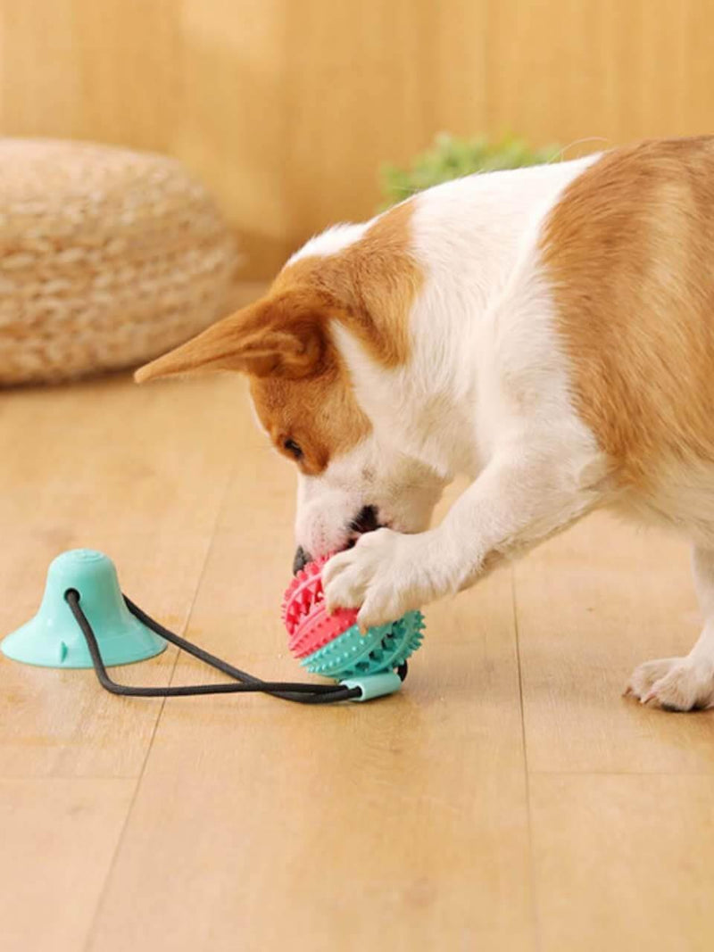 Brinquedo puxador de ventosa como bola para cães e gatos