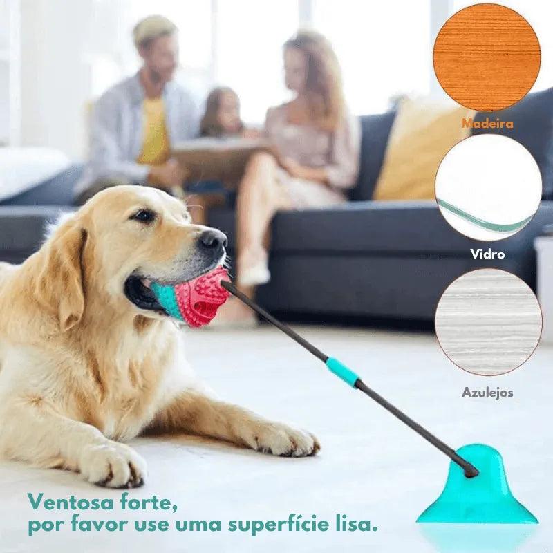 Brinquedo puxador de ventosa como bola para cães e gatos