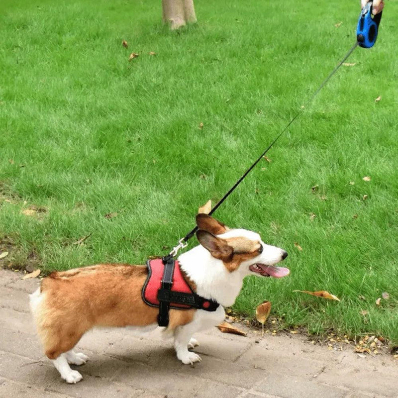 Coleira Guia Retrátil Para Cachorros