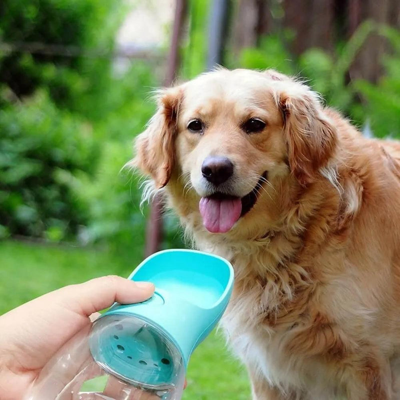 Garrafa de água cute para cães e gatos