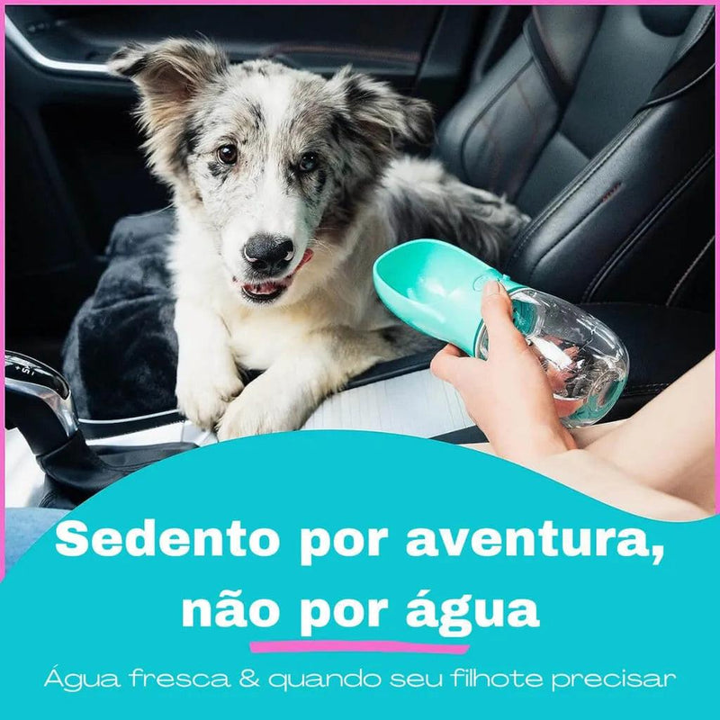 Garrafa de água cute para cães e gatos